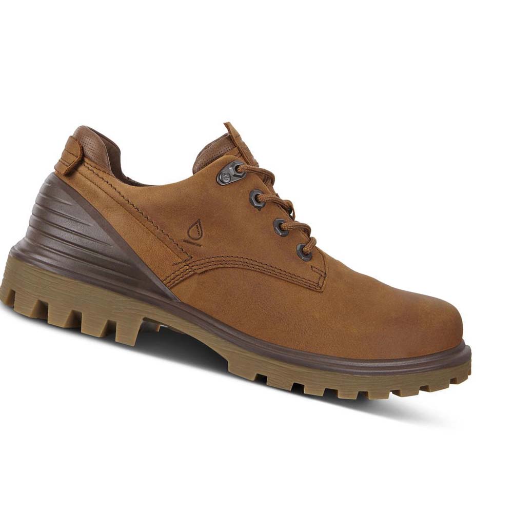 Men\'s Ecco Tredtray Hiking & Trail Brown | USA 575PJJ